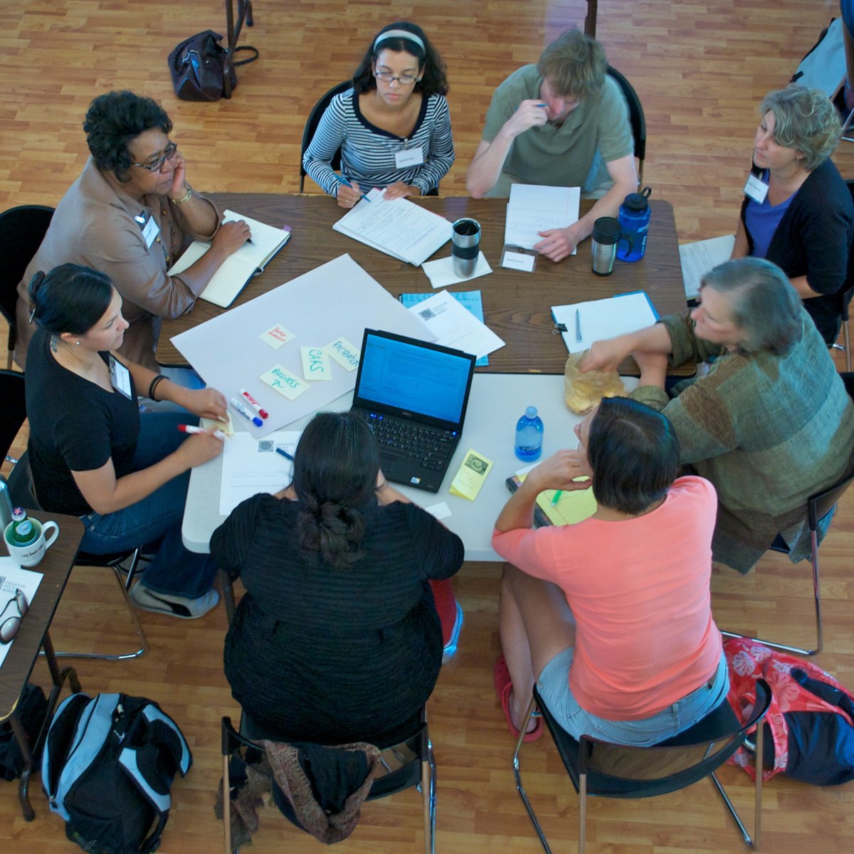 Initial findings from citizen science project leader focus&nbsp;groups